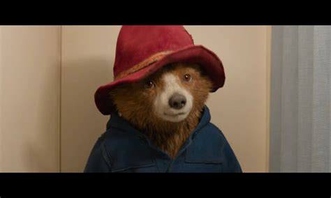 Paddington au Pérou 2025